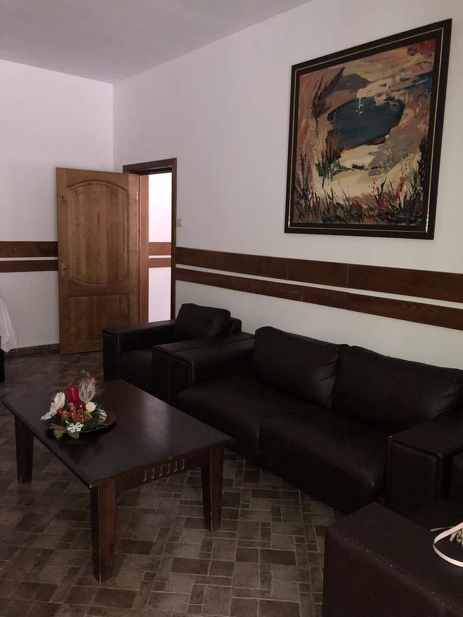 Pensiunea Ovidiu&Paula Ibanesti Buitenkant foto